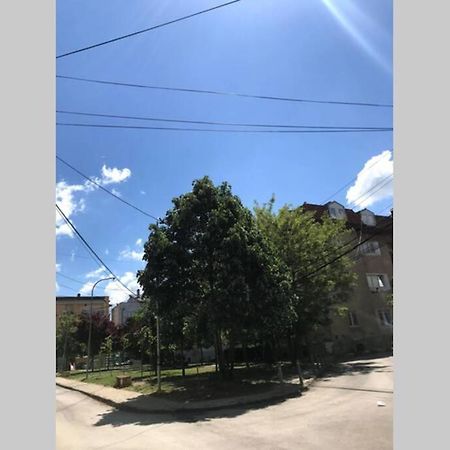 Cozy Apartment In The Old Center Of Prishtina Приштина Экстерьер фото
