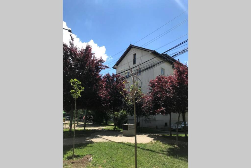 Cozy Apartment In The Old Center Of Prishtina Приштина Экстерьер фото